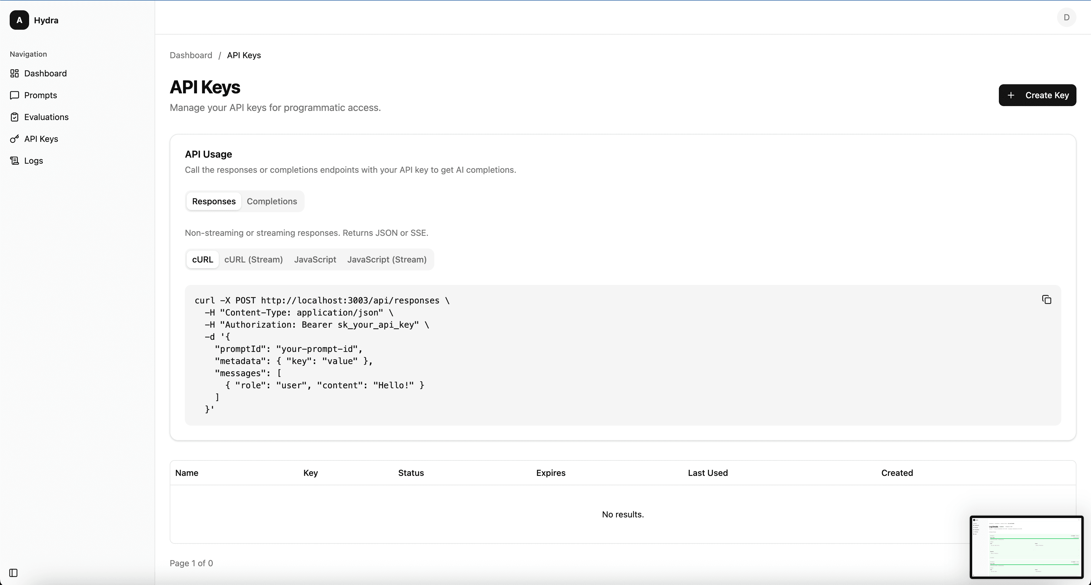 Hydra8 API key management page with generated keys and usage statistics